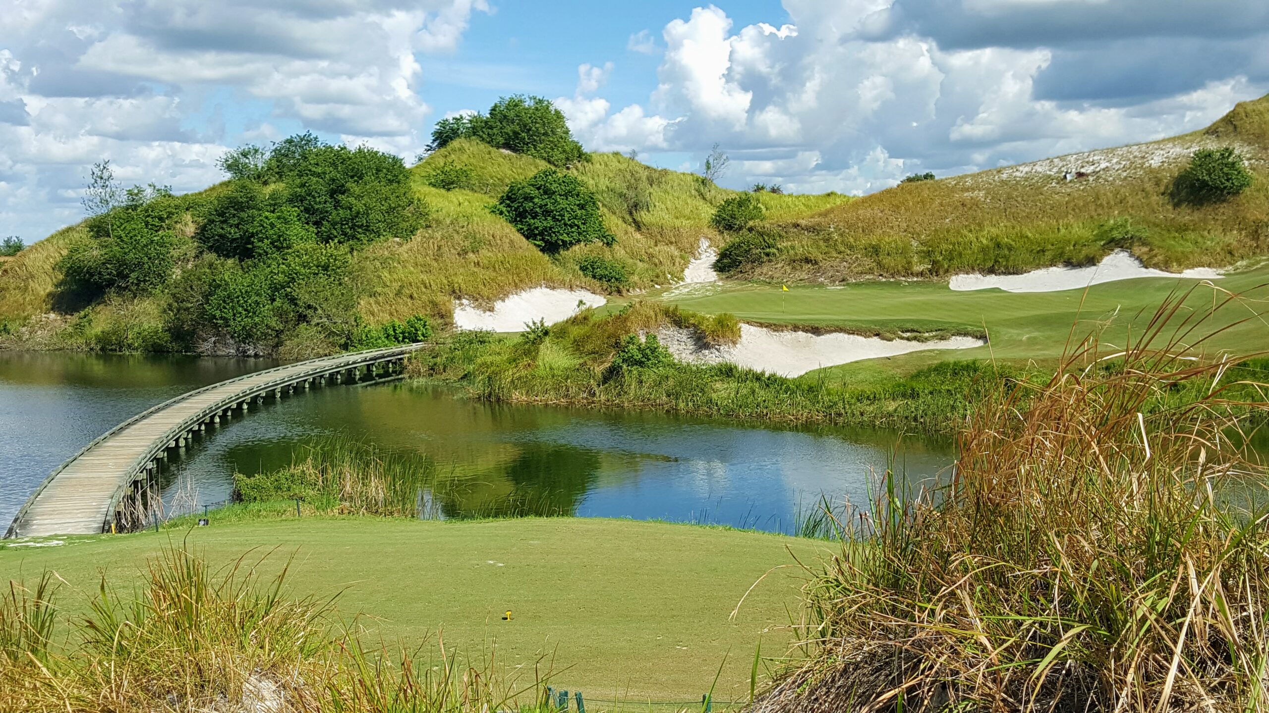 Former professional baseball player AJ Pierzynski watches his tee shot on  the 11th hole during the final round of the Tournament of Champions LPGA  golf tournament, Sunday, Jan. 23, 2022, in Orlando